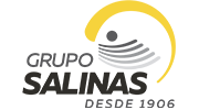 Logotipo de GRUPO SALINAS GRUPO SALINAS
